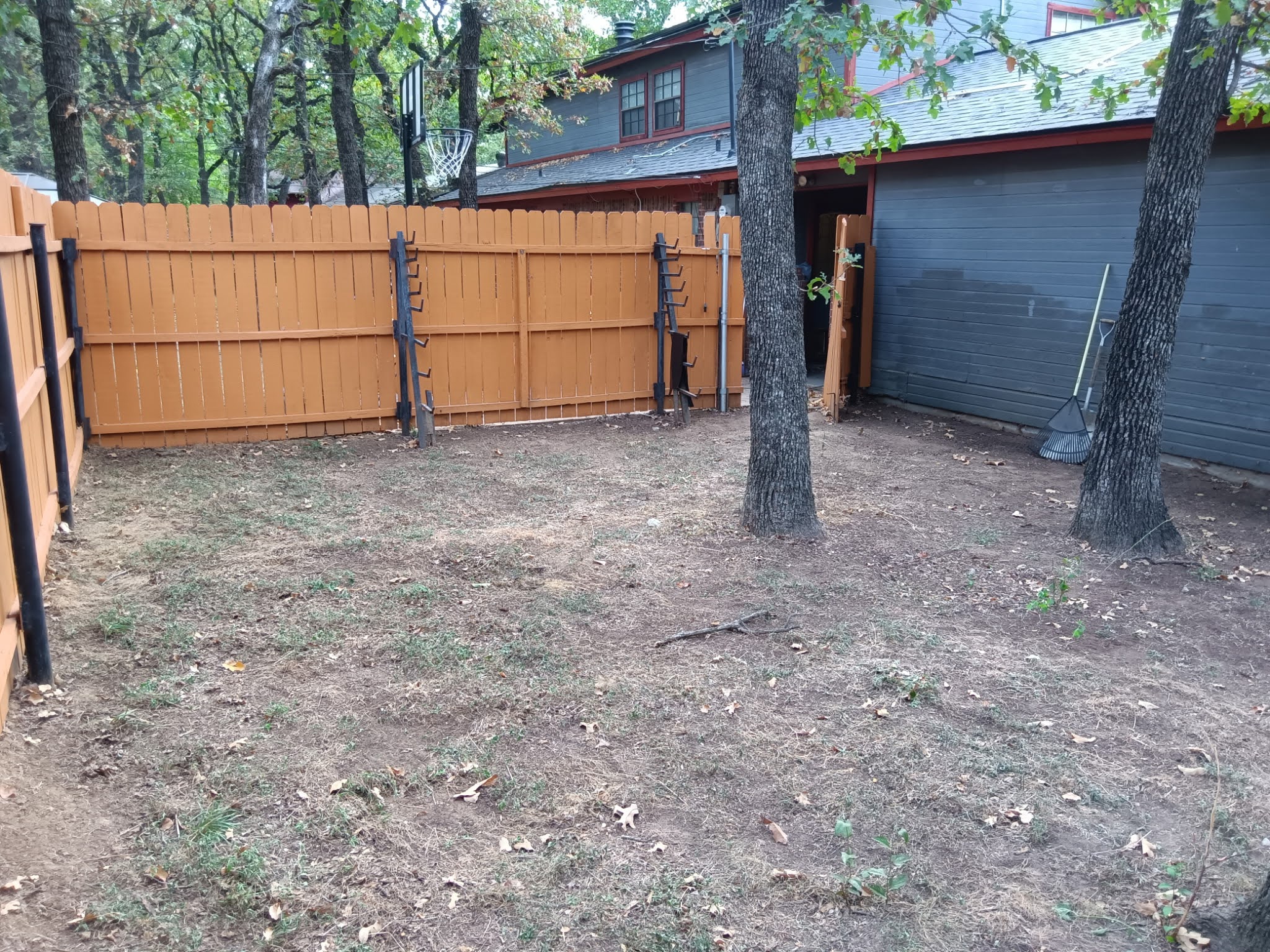 Shrubs neatly shaped after trimming